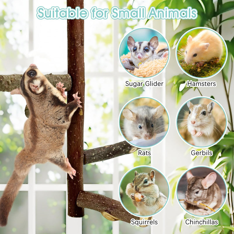 BNOSDM Sugar Glider Toy Natural Fruitwood Perch Stand Squirrel Hanging Wooden Climbing Pole Hamster Paw Grinding Perch Small Animal Cage Accessories for Chinchillas Rats Gerbil Natural Applewood - PawsPlanet Australia