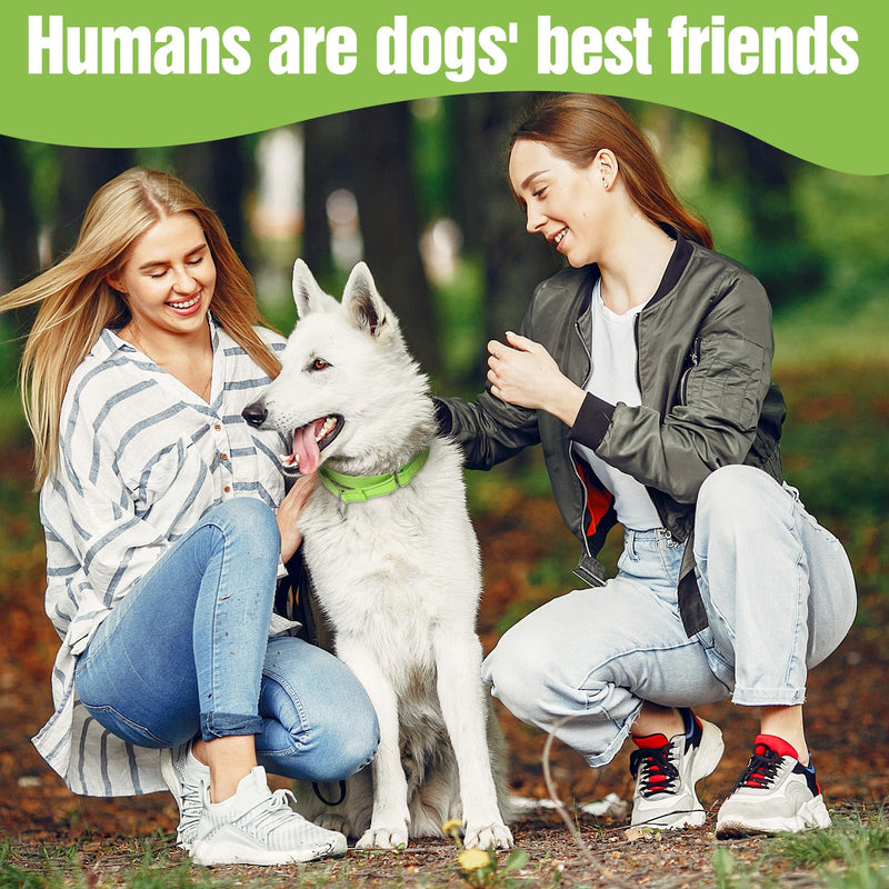 12 Pcs Martingale Collar for Dogs, Martingale Dog Collars Reflective Dog Collars for Medium Dogs (12 Colors) - PawsPlanet Australia