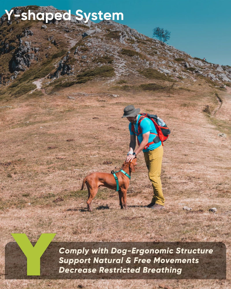 Premium Y-Shaped Dog Harness for Training & Daily Walk,No-Pull Adventure Harness with Handle & 3 Leash Hook Points,Durable Nylon (Turquoise, M (Neck 48-74cm, Chest 58-81cm)) Turquoise M (Neck 19″ - 27″, Chest 24″ - 30″) - PawsPlanet Australia