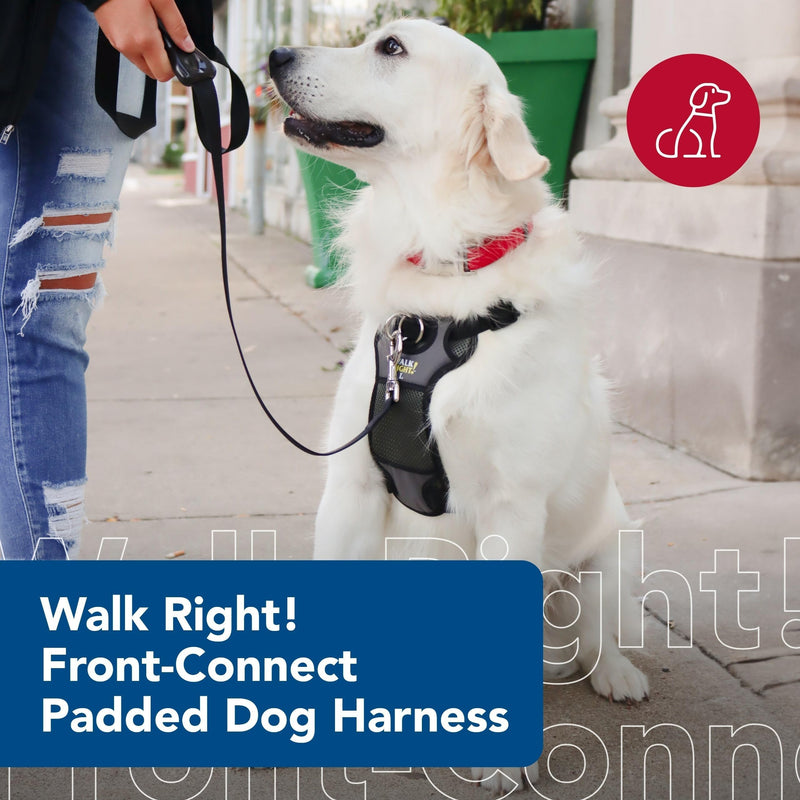 Coastal Pet Walk Right Front-Connect No-Pull Padded Dog Harness - Adjustable & Comfortable Dog Harness - Small & Large Breed Fit - Quality Pet Supplies - Black, LRG (26"-38") Large - 24"-38" girth - PawsPlanet Australia