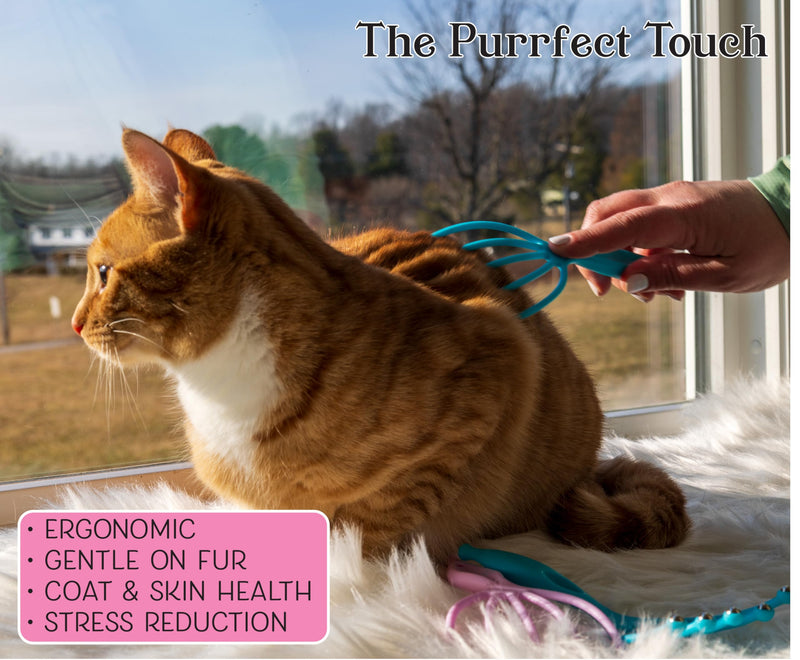 The Purrfect Touch - 5 Finger Cat Massager Wand – Pack of 2 - Gentle Pet Grooming Tool for Cats and Small Pets - Ergonomic Handle, Soft, Relaxing Massage that Cats Love! - PawsPlanet Australia