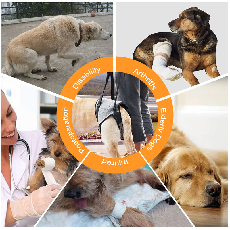 Dog Lifting Harness, Dog Support Harness for Back Legs, Adjustable Dog Leg Support with Lift Handle, Portable Dog Slings for Medium Dogs, Elderly Disabled Joint Injuries Canine(L) L