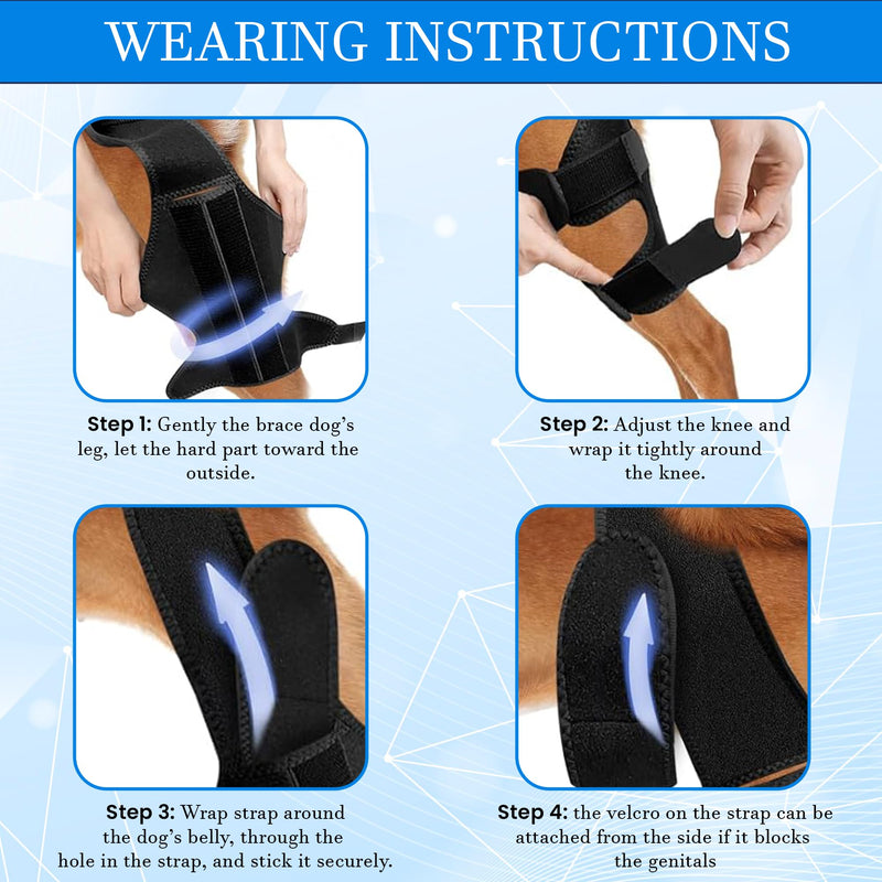 Dog Knee Brace for Torn Acl Hind Leg for Support with Cruciate Ligament Injury, Dog Acl Brace Hind Leg Better Recovery with Adjustable Dog Leg Braces for Relieve Joint Pain and Muscle Sore M (Medium) Medium - PawsPlanet Australia