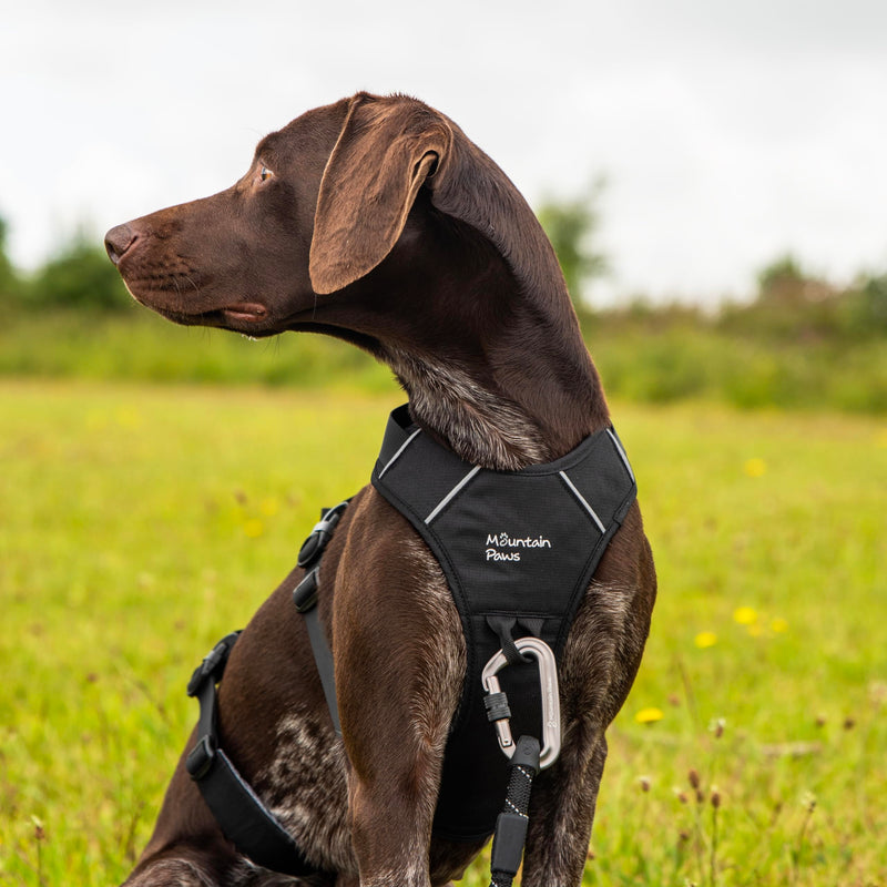 Mountain Paws 3-Strap Dog Harness | To Fit Chest Sizes 46–108cm, With Central Grab Handle And Reflective Piping Black Small - PawsPlanet Australia