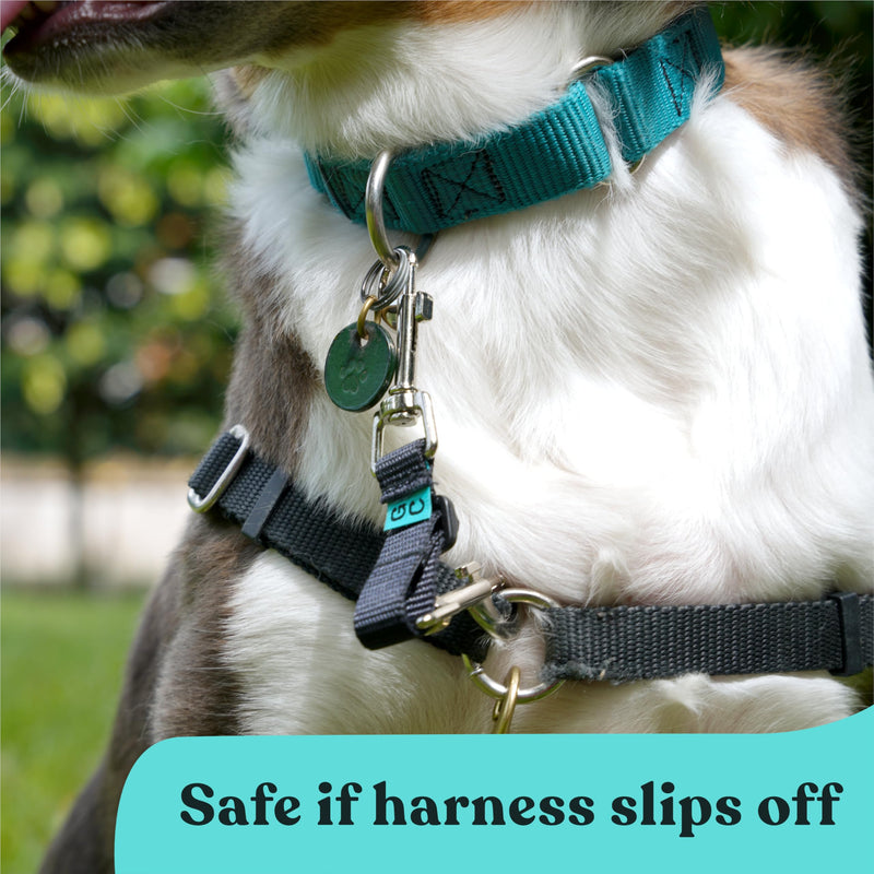 Gentle Creatures Collar Companion - Adjustable Backup Clip for Dog Harness, Prong, Pinch Collars, Gentle Lead - Double Ended Backup Clasp - Harness to Collar Safety Clip Nylon Adjustable - PawsPlanet Australia
