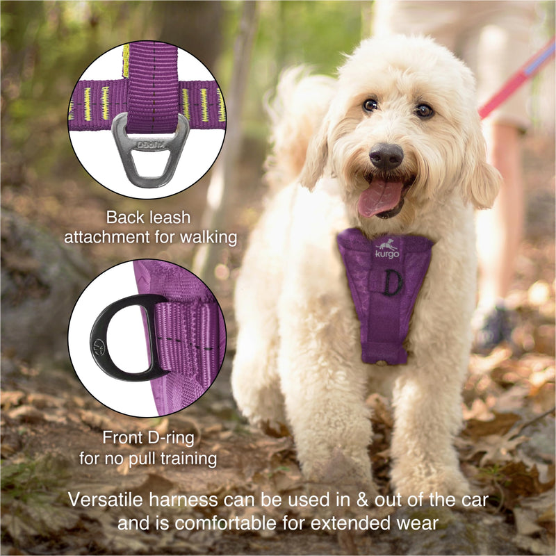 Kurgo Enhanced Strength Tru-Fit Dog Car Harness - Pet Travel Safety Harness - Crash Test Certified Fit - Five Point Adjustment - Secure Buckle - Padded Chest - Deep Violet - Large - PawsPlanet Australia