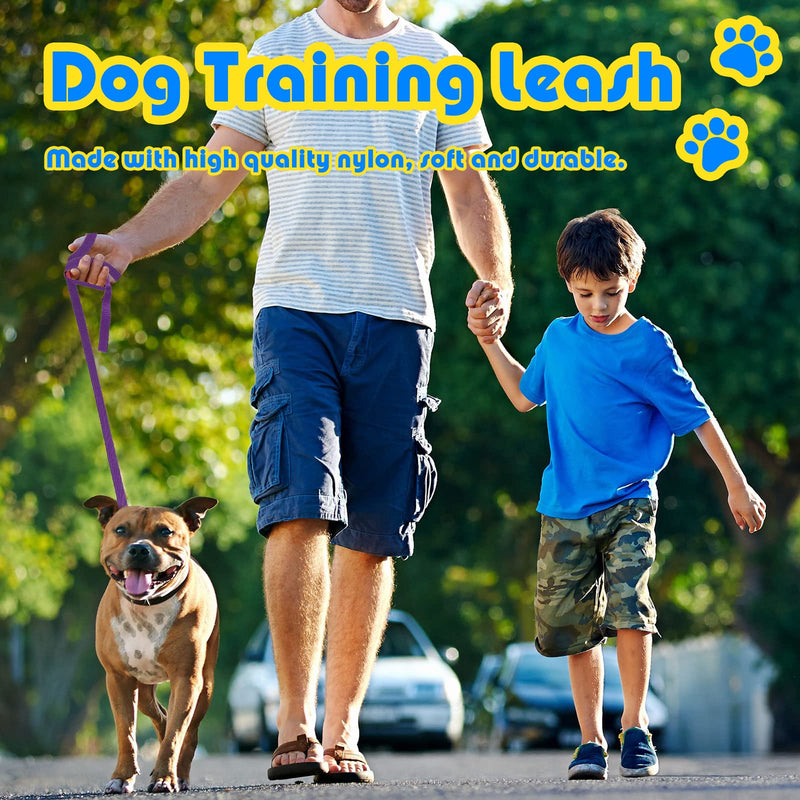 Sanwuta 9 Pack Nylon Dog Training Leash Bulk 6 ft Dog Leash for Small and Medium Puppy Traction Rope for Training, Play, Camping, or Backyard(Colorful) 6' - PawsPlanet Australia