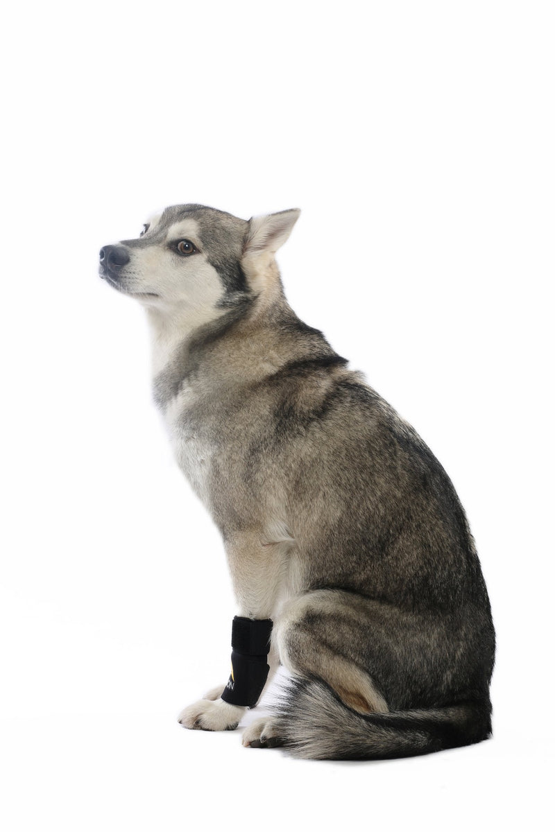 AGON (Pair) Dog Canine Front Leg Brace Paw Compression Wraps with Protects Wounds Brace Heals and Prevents Injuries and Sprains Helps with Loss of Stability Caused by Arthritis (Small/Medium) Small/Medium - PawsPlanet Australia