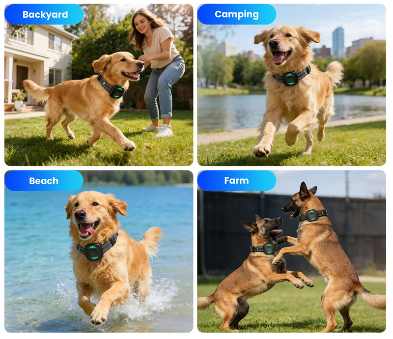 RPZ Wireless Fence for Dogs 1pcs