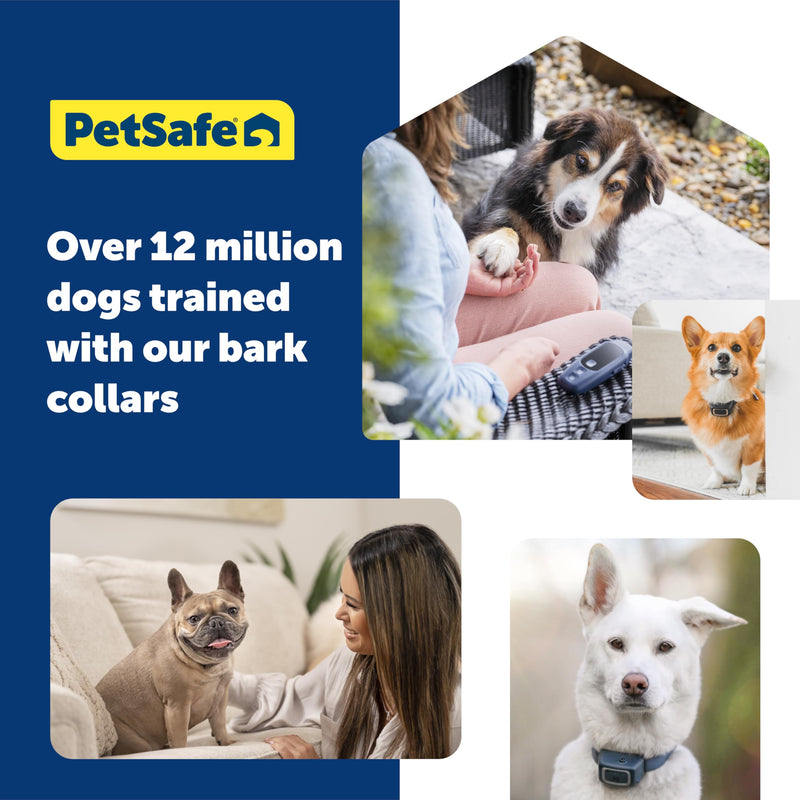 PetSafe Core Digital Dog Bark Collar – Waterproof Anti-Bark Training Device – Tone, Vibration and Static Correction – Illuminated Digital Display – for Small Medium or Large Dogs 8 lb. and Up - PawsPlanet Australia