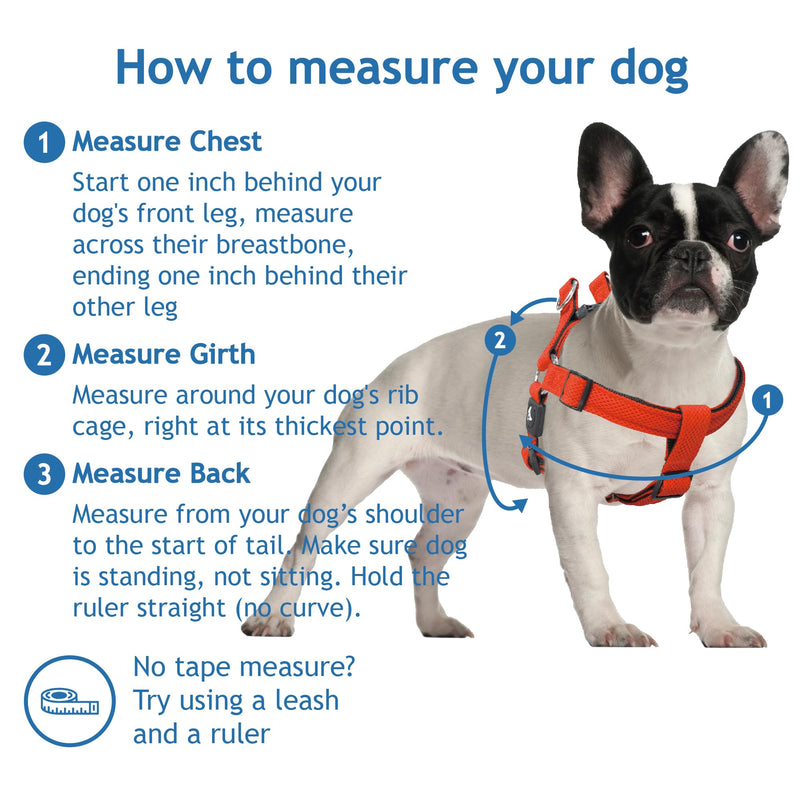 Kruz No Pull Dog Harness (Chest 26”-38”, Weight 44-88 lbs) Heavy-Duty Pet Harness for Large Breeds, Ultra-Comfort Fit, Lifetime Durability, Adjustable Dog Harness No Pull Design (Turquoise, Large) Turquoise - PawsPlanet Australia