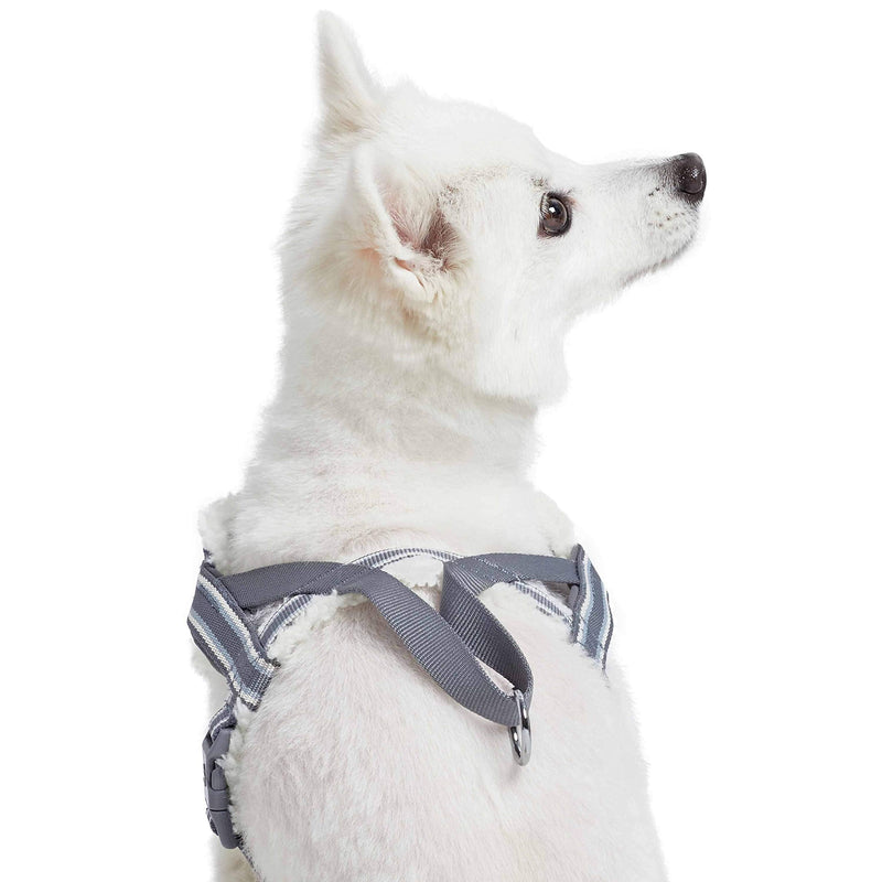 Blueberry Pet Soft & Comfy Multi-Colored Stripe Fleece Padded Chest Dog Harness, Chest Girth 16.5" - 21", Grey, Small, Adjustable No Pull Training Harness for Dogs - PawsPlanet Australia