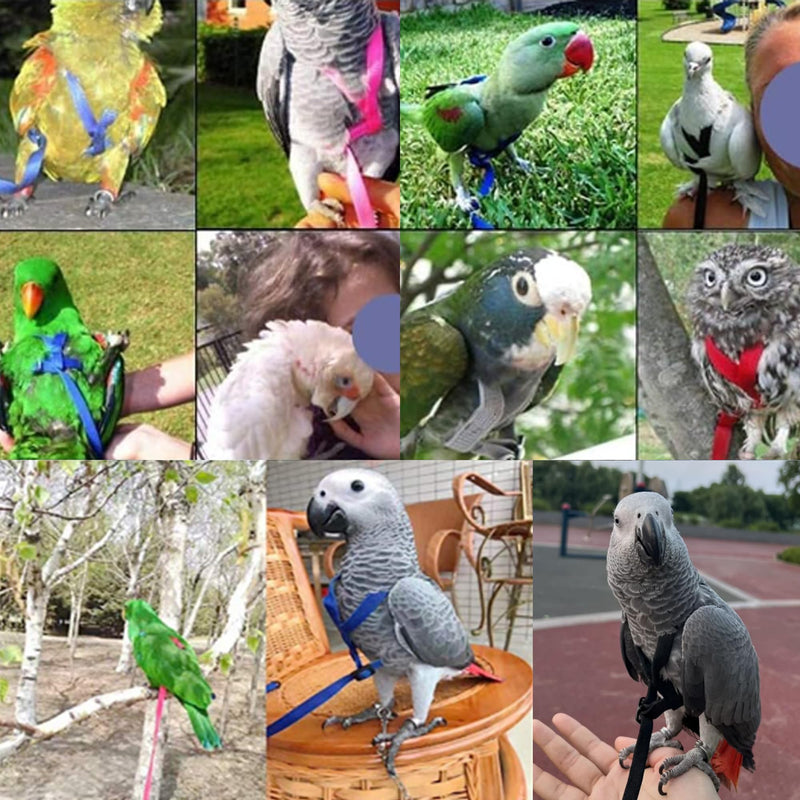 2 pcs Pet Parrot Bird Harness and Leash, Adjustable Training Design Anti-Bite, Outdoor Flying Training Rope Kit for Bird Parrots Fits Birds Chest Between24-51cm /9.45-20inch - M (Green) green Small - PawsPlanet Australia