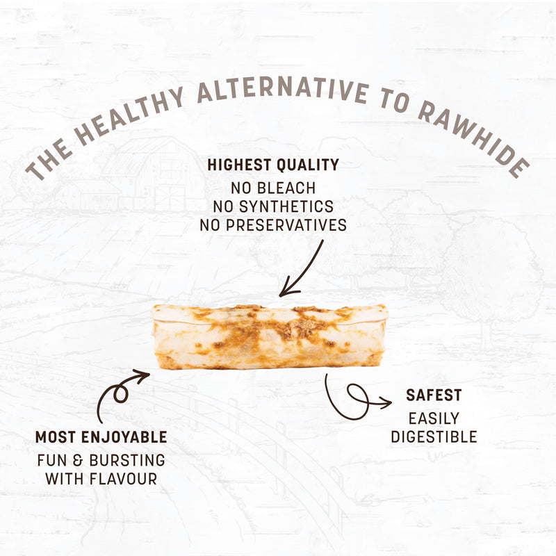 Earth Animal No Hide Rawhide Free Dog Chews Long Lasting Natural Salmon Flavoured Dog Treats for Small Dogs Easily Digestible Bones for Aggressive Chewers - Salmon, Small, 2 Pack (68g) - PawsPlanet Australia