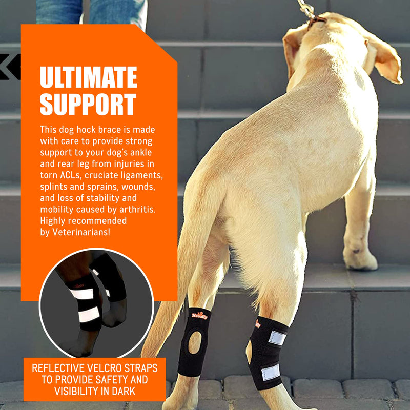 NeoAlly - Short Rear Leg Hock Brace, Dog Leg Brace for Rear Leg, Hock & Ankle Support, Dog Brace for Torn ACL & CCL, Dog Leg Sleeve with Reflective Straps, Small, Black, 1 Pair Small (1 Pair)