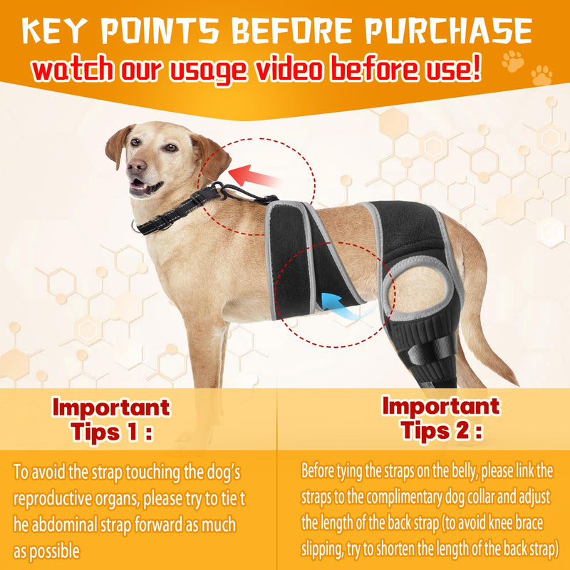 Dog ACL Knee Leg Brace, Dog Hip Brace for Front Torn and Back ACL Hind Rear Legs, Comfortable & Adjustable Tailwind Dog Hip Dysplasia Brace for Dog Arthritis, Luxating Patella with 10X Support (L) L - PawsPlanet Australia