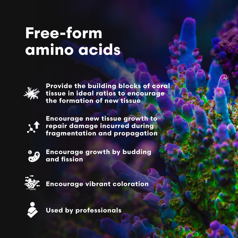 Brightwell Aquatics CoralAmino - Complex of Amino Acids for Corals - Coral food for Aquarium Coral Growth - Saltwater Aquarium Treatments, 1.01 fl oz 30-ML