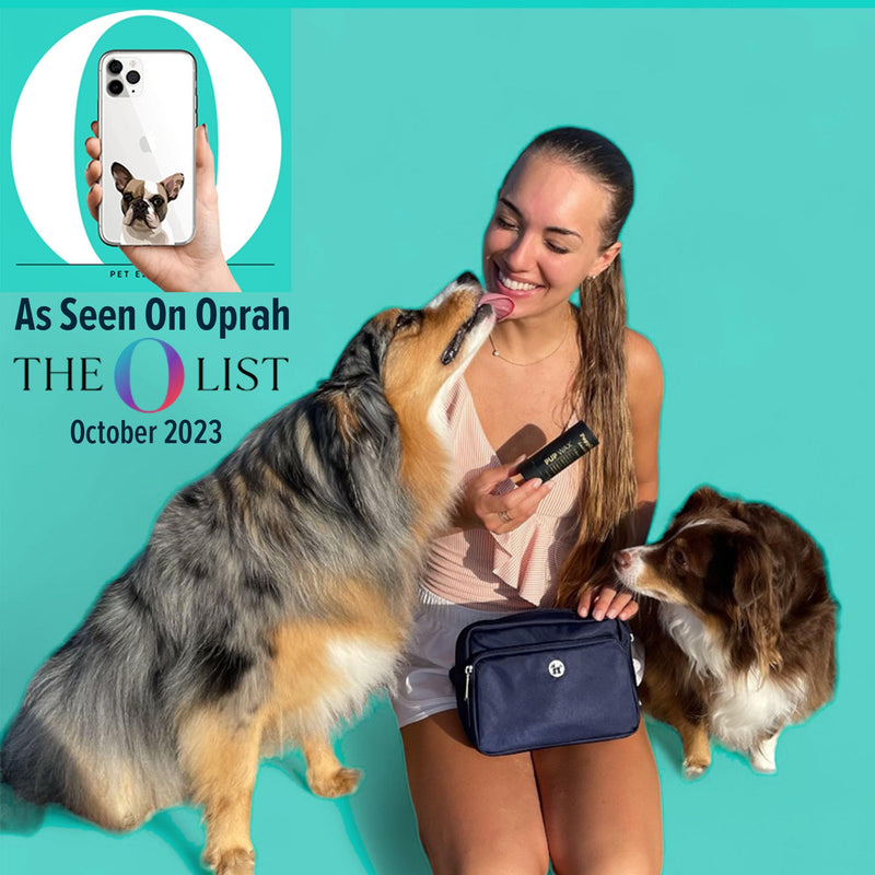 Dog Treat Pouch for Pet Training - Zippered Pockets & Color Match Poop Bag Dispenser - Crossbody & Fanny Pack Belt Bag - Dog Walking Bag Onyx Black - PawsPlanet Australia
