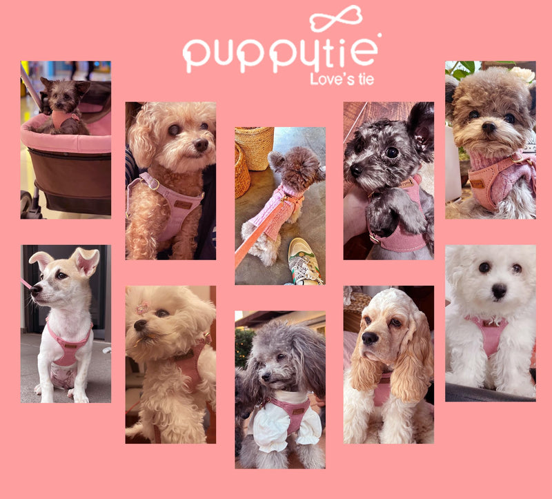 Puppytie No Pull XXS Puppy Harness with Multifunction Dog Leash,Soft Adjustable No Choke Escape Proof Pet Harness Vest,Pink,XXS A-Pink XXS(2.2-6lb） - PawsPlanet Australia