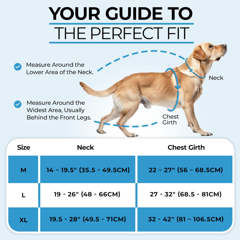 Step-in Dog Harness for Large Dogs - Adjustable, Easy On/Off No Pull Head Through Design, 2 Leash Attachment Points, 3M Reflective Trim, Neoprene Padded Control Handle, Black - PawsPlanet Australia
