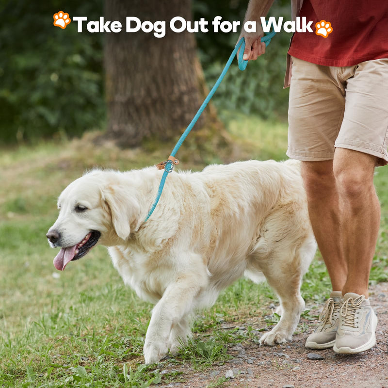 Grand Line Slip Lead Dog Leash - No Pull Training Dog Lead with 5ft Reflective Rope, Durable & Collar-Free for Small, Medium, Large Dogs and Puppies (Purple,M) Purple Medium-2/5in x 5ft - PawsPlanet Australia