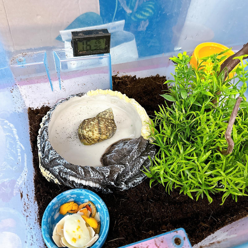 Tfwadmx Hermit Crab Water Bowl, Small Reptile Feeding Dish, Tortoise Water Dish, Hermit Crab Food Dish, Reptile Food Bowl for Geckos Corn Snakes Turtles Small Bowl-1Pcs - PawsPlanet Australia
