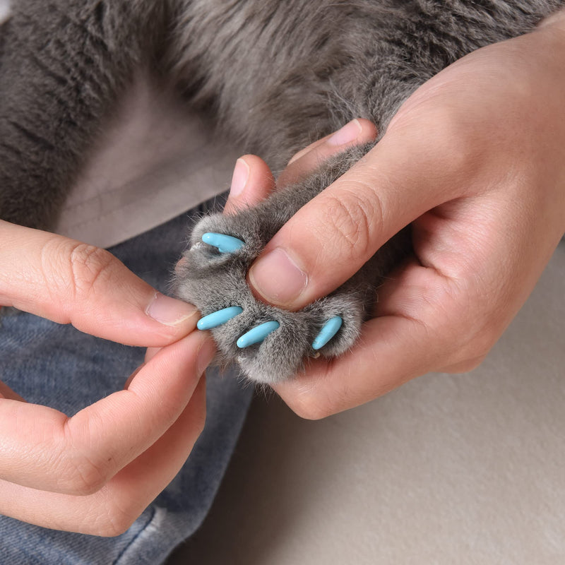 Kitty Caps Nail Caps for Cats Black with Gray Tips & Baby Blue, 40 Count - 3 Pack Safe, Stylish & Humane Alternative to Declawing Stops Snags and Scratches FF9325PCS3 Large (13 lbs or Greater) - PawsPlanet Australia