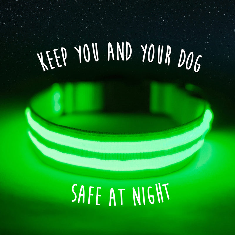 Mighty Paw LED Dog Collar - USB LED Rechargeable - USB Rechargeable Light - High Visibility Glow Strips - Glow Pet Weather Resistant - Enhanced Nighttime Visibility - Light Up Dog Collar - (L, Green) Large - PawsPlanet Australia