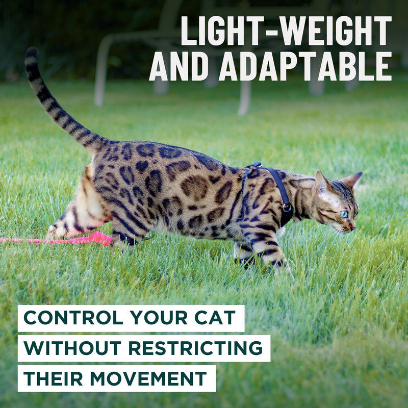 Houdini™ Escape Proof Cat Harness and Leash Set by OutdoorBengal – Red, Medium Cat Harness for Walking M/L - PawsPlanet Australia
