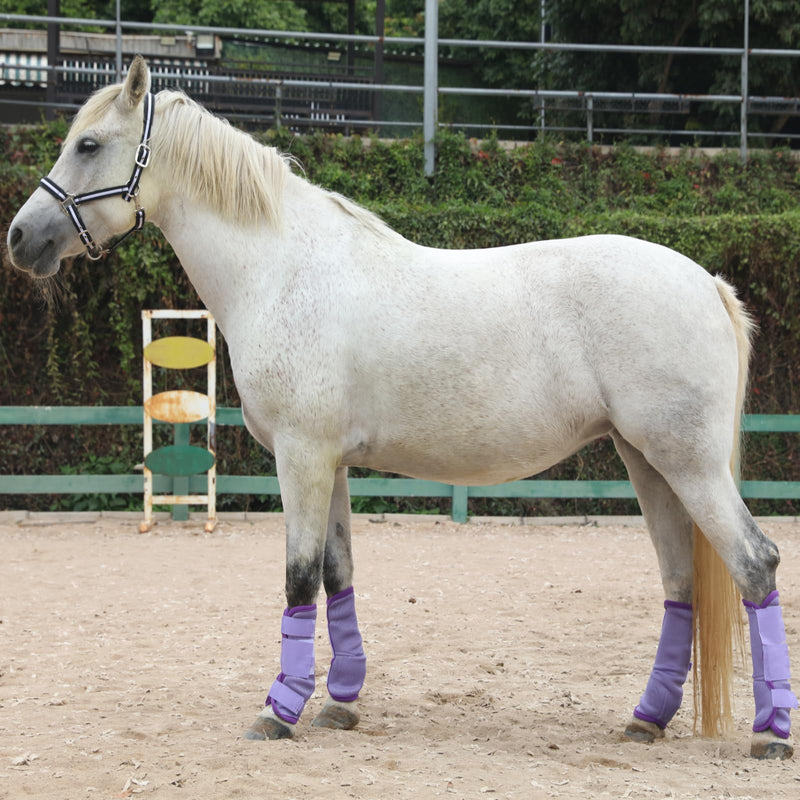 Horse Fly Boots Set of 4, Breathable Comfy Mesh Fly Boots for Horses, Non-Slip Horse Fly Leggings No More Stomping & Horsefly Nuisance Violet Full