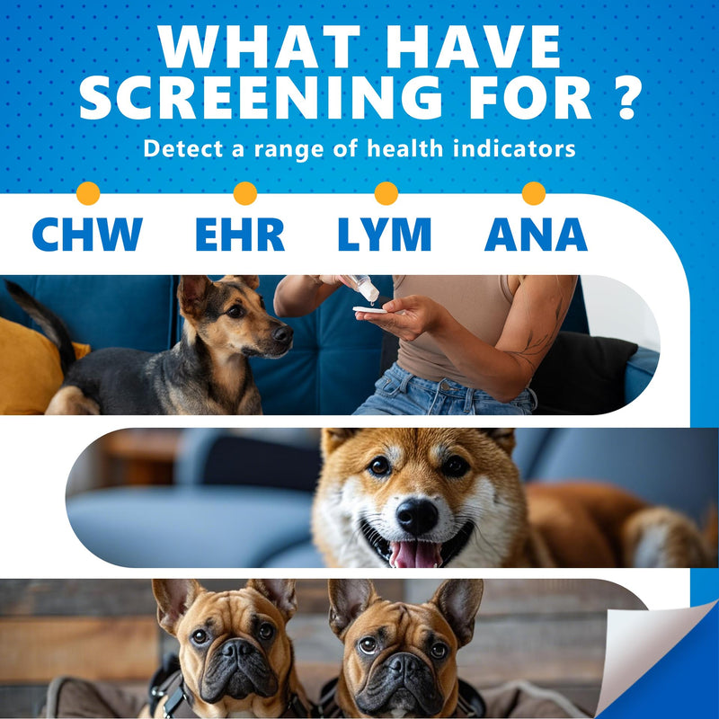 4-in-1 Dog Health Management Card 4-in-1 Canine Health Signal Analyze Common Canine Illnesses Quick and Easy at-Home Testing - PawsPlanet Australia