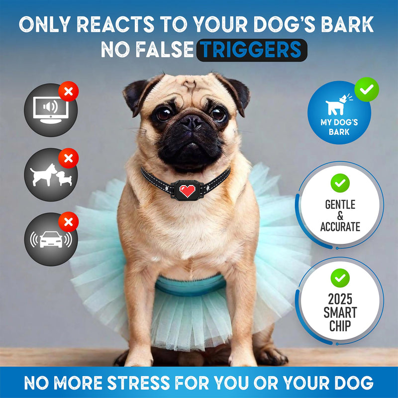 Bark Collar for Small Dogs 5-15 lbs with Magnetic Charging – No Shock, 3 Beep & Vibration Modes, 5 Sensitivity Levels – Humane Stop Anti-Barking Device – Dog Training Bark Collar (Black/Red Heart) Black/Red Heart - PawsPlanet Australia