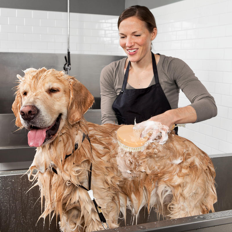 Dog Bath Brush Pet Shampoo Handle Bath Brush with Massage Points Dog Grooming/Washing/Massaging Wooden Brush Natural Bristle Dog Brush Removal Loos Hair for Cats Dogs - PawsPlanet Australia