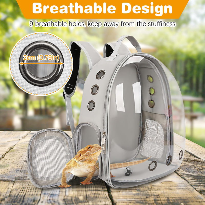 kathson Bearded Dragon Carrier with Harness and Leash Set, Large Reptile Travel Carrier Portable Lizard Backpack Clear Small Animals Carrying Bag for Gecko Hamster Rabbit Hedgehog Kitten (Black) Black - PawsPlanet Australia