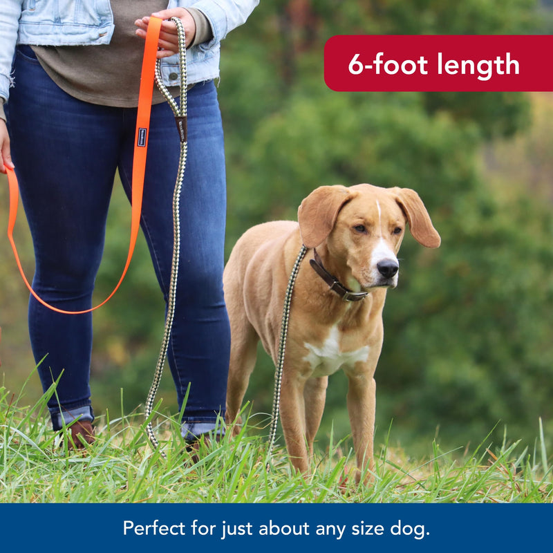Water & Woods Braided Rope Snap Dog Leash by Coastal Pet - Durable Leash for Dog - Comfortable Pet Leash - Classic Swivel Snap for Tangle-Free Walks - Green, 1/2" x 6' - PawsPlanet Australia