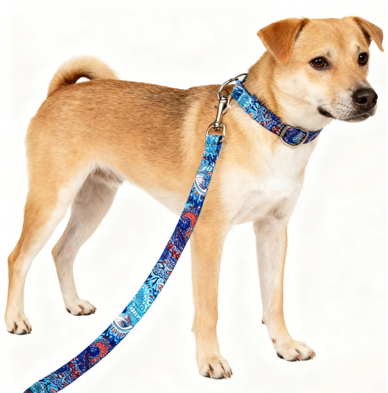 Heavy Duty Dog Leash, 1 Inch Width, Nylon Training Leash, Multiple Lengths 1.5-5 FT, for Small Medium Large Dogs Dark Blue 5FT (60inches) - PawsPlanet Australia
