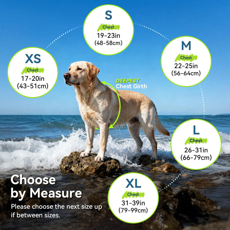 VIVAGLORY Sports Style Dog Life Vest, Dog Life Jacket for Swimming & Boating, Ripstop & Buoyancy for Puppy Doggy, Lifejacket with Handle, M, Floral M: 22-25 inch (Ribcage Girth) - PawsPlanet Australia