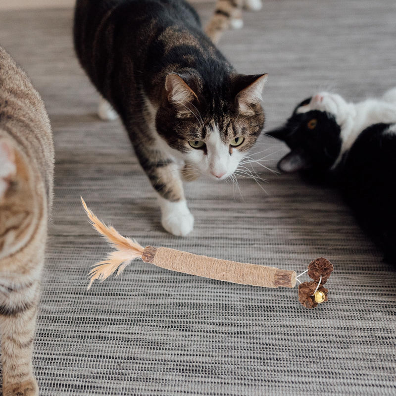 Luxshiny Interactive Chew Toys for Cats, 5 Pieces, Made of Synthetic Material for Dental Health and Playful Entertainment for Kittens and Pets