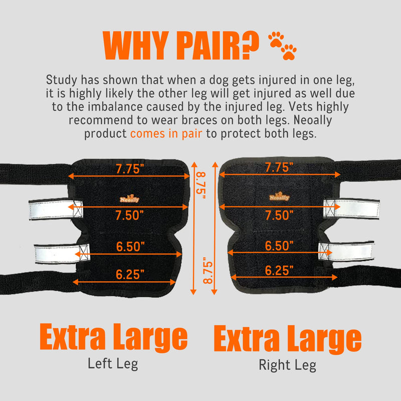 NeoAlly - 3-in-1 Long Rear Leg Hock Brace, Dog Leg Brace for Rear Leg with Rigid & Spring Inserts, Hock and Ankle Support, Dog Leg Sleeve with Reflective Straps, XL, 1 Pair X-Large