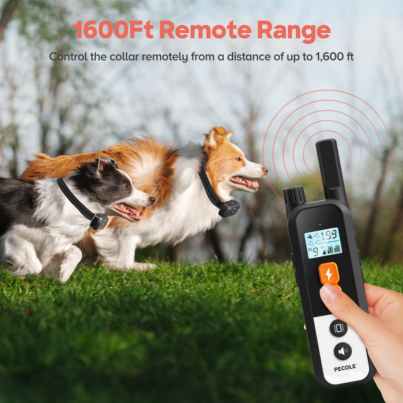 Dog Training Collar for 2 Dogs: Remote Control with 1600Ft Range Waterproof Shock Collar with Adjustable Beep Vibration and Shock Modes Control Security Keypad Lock for Small Medium Large Dogs - PawsPlanet Australia