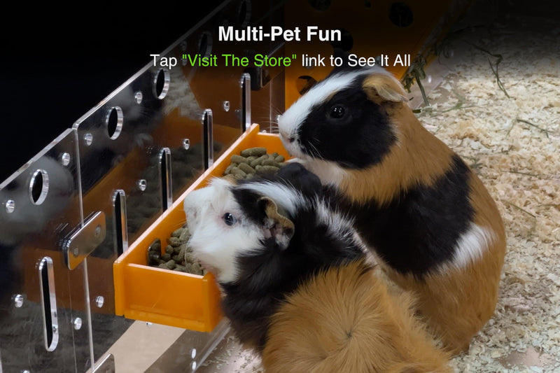 GuineaLoft™ Food Feeder Yellow - Say Goodbye to Traditional Bowls! Ultimate Feeder for Small Pets Like Guinea Pigs, Rabbits and Chinchillas. Designed & Made by Seasoned Owners - GuineaLoft Exclusive - PawsPlanet Australia
