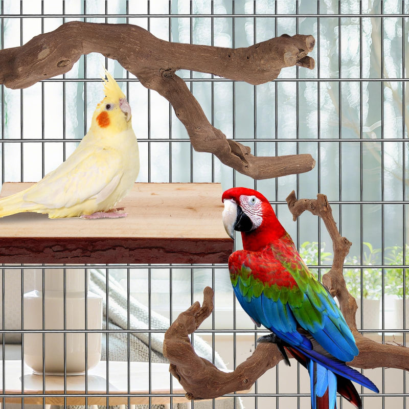 Parrot Perch Bird Perch Stand Set Natural Wild Wood Grape Sticks Paw Grinding Fork Parakeet Climbing Standing Branches Toys Cage Accessories for Conure,Cockatiels Lovebirds,Budgies Chewable 6PC - PawsPlanet Australia