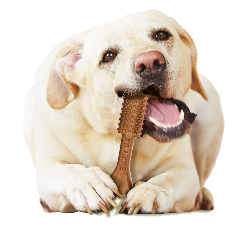 Nylabone Nutri Dent Dog Dental Chews - Natural Dog Teeth Cleaning & Breath Freshener - Dental Treats for Dogs - Filet Mignon Flavor, Large (20 Count) 20 Count (Pack of 1) - PawsPlanet Australia