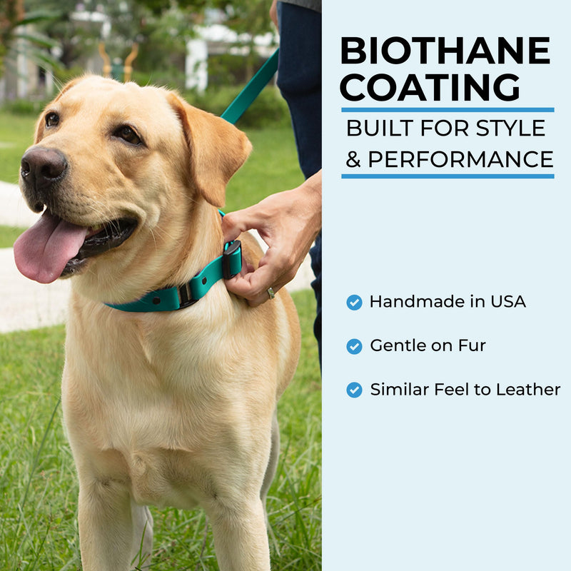 Light Duty Rivet Biothane Dog Collar - Teal, Waterproof, Odor Proof, Lightweight, Made in the USA, Curved Quick Release Plastic Buckle, Large 17-20" Neck W 1" x L 17-20" - PawsPlanet Australia
