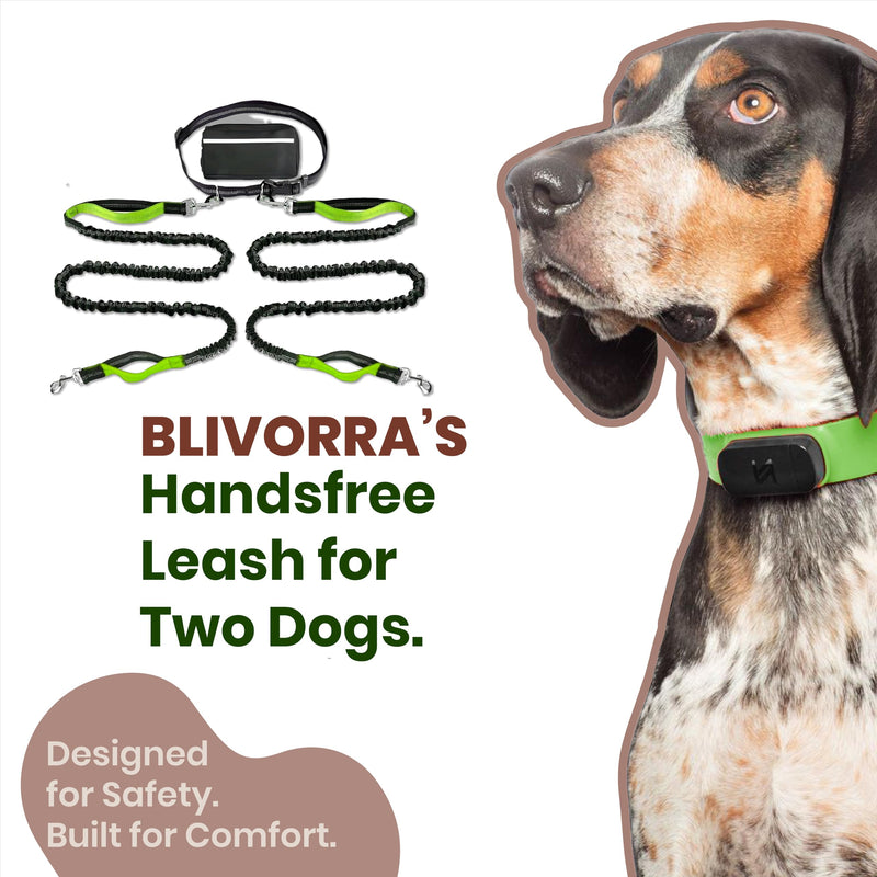 ?????????? ???????? Hands Free Dog Leash for 2 Dogs – Dual Bungee Running Leash with Adjustable Waist Belt, Tangle-Free 360° Swivel, Shock Absorbing, Padded Handles & Zipper Pouch