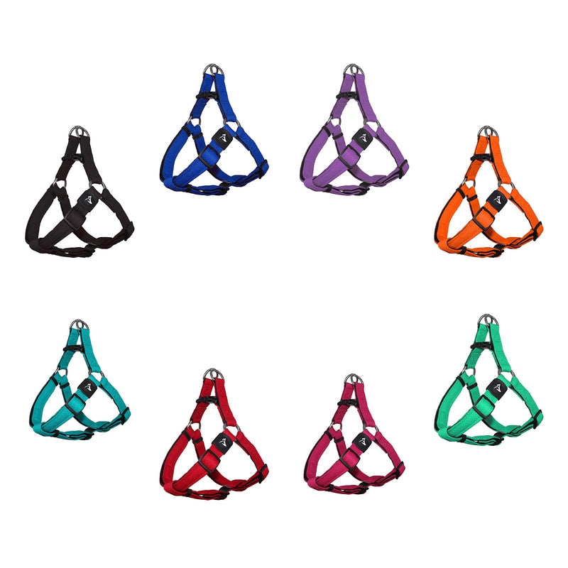 Kruz No Pull Dog Harness (Chest 26”-38”, Weight 44-88 lbs) Heavy-Duty Pet Harness for Large Breeds, Ultra-Comfort Fit, Lifetime Durability, Adjustable Dog Harness No Pull Design (Turquoise, Large) Turquoise - PawsPlanet Australia