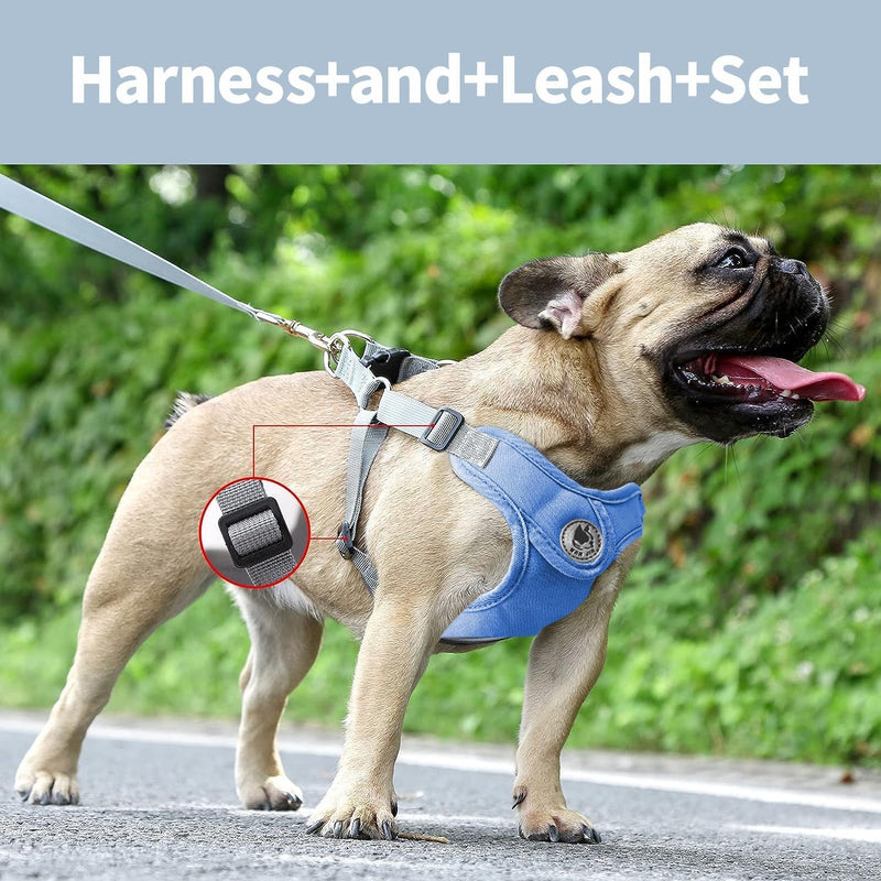 Dog Harness with Leash Set, No-Pull Pet Harness with 1 Leash Clips, Adjustable Soft Padded Pet Vest for Small Medium Dogs No Pull, Puppy Harness and Leash Set - PawsPlanet Australia