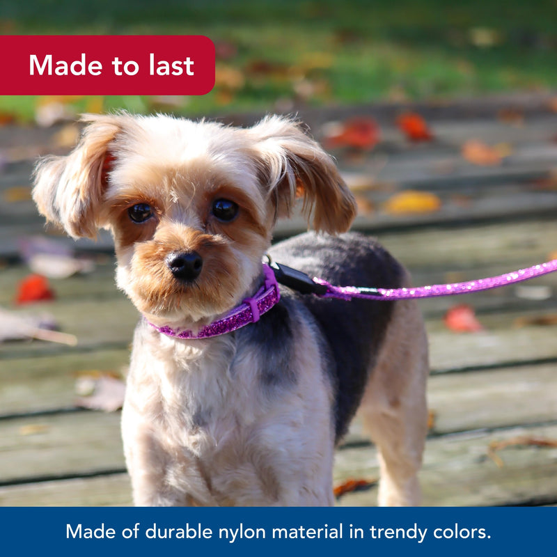 Coastal Pet Li'l Pals Dog Leash with Glitter Overlay - For Walking Small Pets - Ensures Comfortable Stroll - Lightweight Leash with One-Handed E-Z Snap - Orchid Sparkles, 3/8" x6' - PawsPlanet Australia