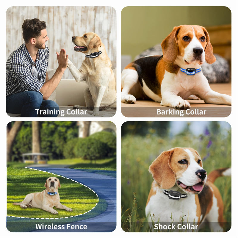 PaiPaitek Shock Collar Replacement Strap for Most of Training Collar, 3/4 Inch Dog Collar Replacement for Wireless Fence and Bark, Adjustable Waterproof TPU Collar Strap - 2 Pack TPU Reflective Black and Blue - PawsPlanet Australia