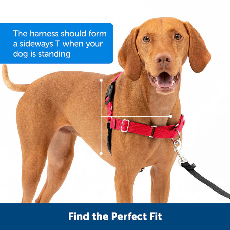 PetSafe Easy Walk Harness, No-Pull Walking Harness for Dogs, Adjustable Fit, Includes 1.8m Lead, Medium-Raspberry, Medium Raspberry - PawsPlanet Australia